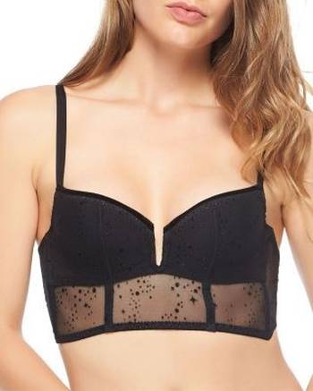 Chantelle Decorative Mesh Band Plunge Bra