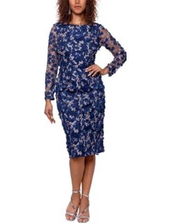 xscape floral embroidered dress