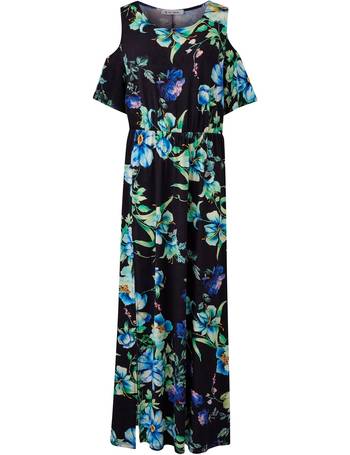 joanna hope print swing dress