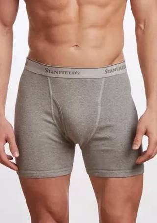 Stanfield's Men's Knit Boxer, 3-pack