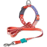Shop Premium Outlets Dog Collars & Leads