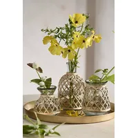 Terrain Vases