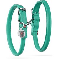 Macy's Waudog Dog Collars & Leads