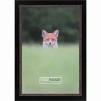 PosterPalooza Picture Frames