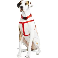 Petco Dog Harness