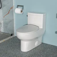 BESTCOSTY Toilets