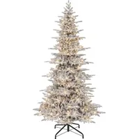 Belk Puleo International Slim Christmas Trees