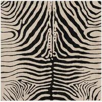 Target Threshold Zebra Rugs