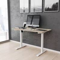 Belk Adjustable Desks