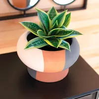 VivaTerra Indoor Pots & Planters