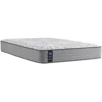 Sealy Queen Size Mattresses