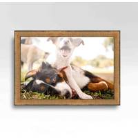Bed Bath & Beyond Wood Picture Frame