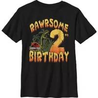 Jurassic Park Boy's Graphic T-shirts