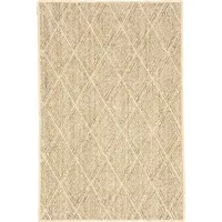 The Company Store Sisal Rugs