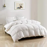 EPOWP Down Comforters