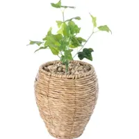 Belk Indoor Pots & Planters