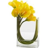 Glass Vases from Lamps Plus