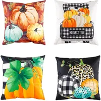 Evergreen Couch & Sofa Pillows