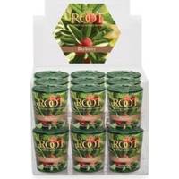 Macy's Root Candles Votive  Candles