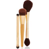 Macy's Tarte Makeup Brush Sets