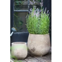 Anthropologie Indoor Pots & Planters