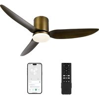 EPOWP Smart Ceiling Fans