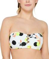 Hula Honey Women's Bandeau Bikini Tops