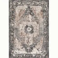 Livabliss Faded Rugs