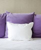 Macy's The Pillow Bar Bed Pillows