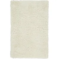 Bed Bath & Beyond HomeRoots Shag Rugs