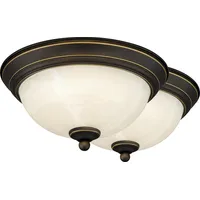 Bed Bath & Beyond Transitional Ceiling Lights