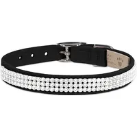 Bloomingdale's Susan Lanci Designs Dog Collars & Leads