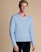 Charles Tyrwhitt Men's Wool Sweaters