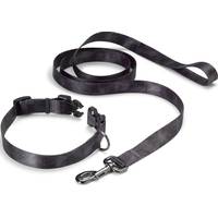 Orvis Dog Collars & Leads