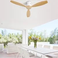 Unbranded Ceiling Fans With Remote