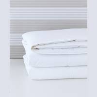 Eastern Accents Comforters