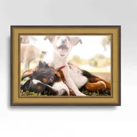 CustomPictureFrames.com Picture Frames