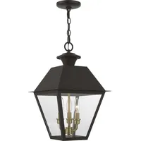 Livex Lighting Outdoor Hanging Lights