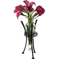 Danya B Decorative Vases