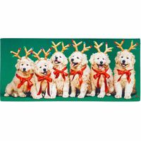 Evergreen Christmas Door Mats