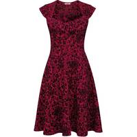 Special Occasion Dresses for Women from Joe Browns