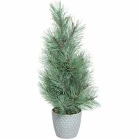 Transpac Christmas Trees