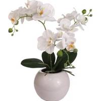 Macy's Floral Home Decor Decorative Objects