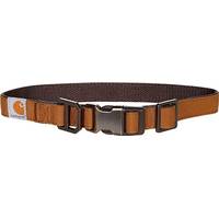 Zappos Dog Collars & Leads