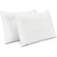 Macy's Calvin Klein Pillows