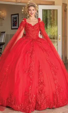 Dancing Queen 1678 - Embroidered Quinceanera Ballgown