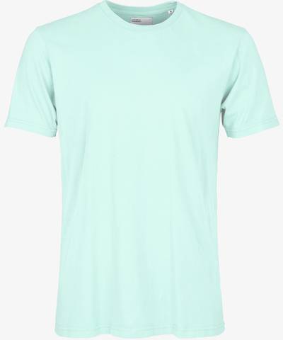 Colorful Standard Classic Organic Tee